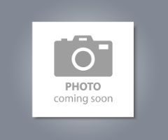 IQ-Bond 2516, Syringe 10 g